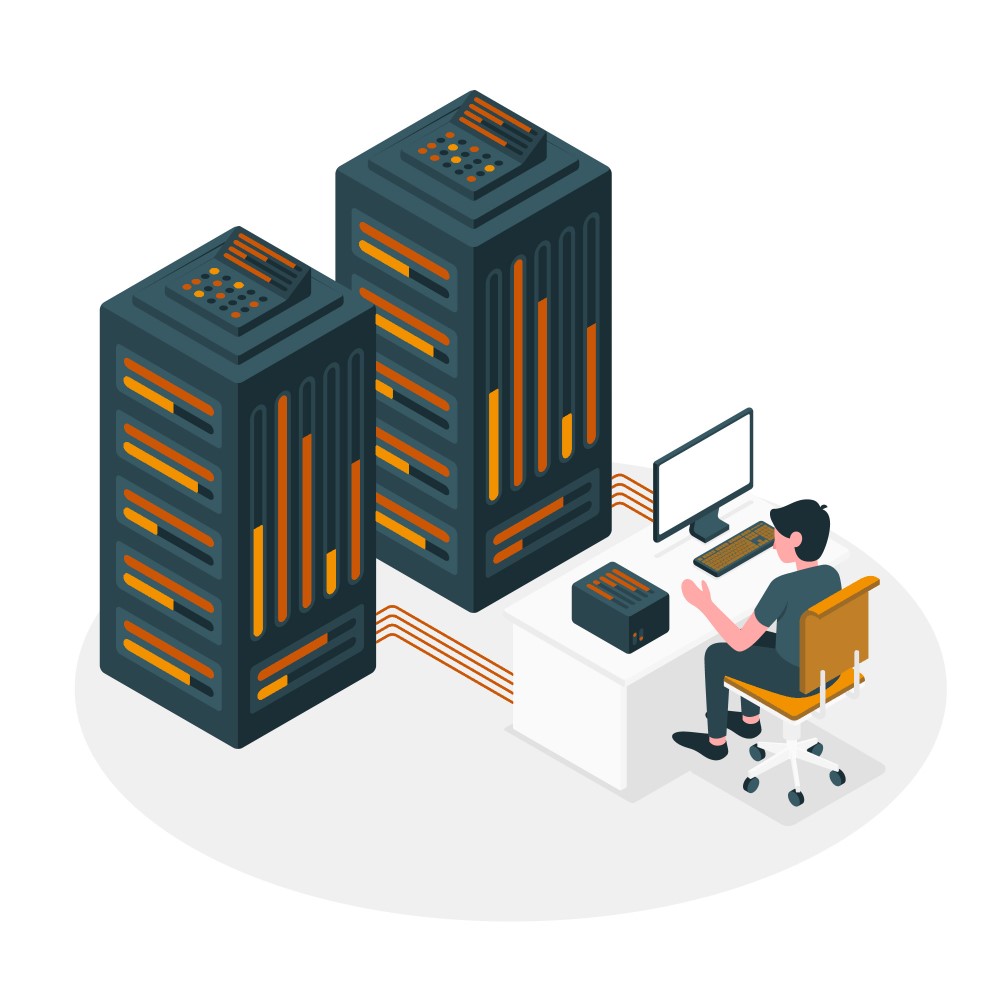 Immagine stilizzata in isometria di due server ed un tecnico.